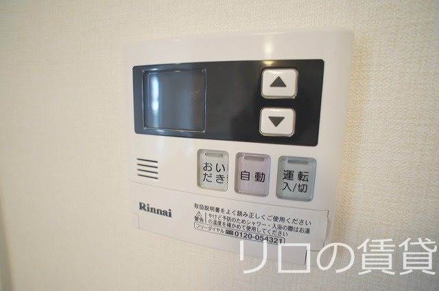 同型