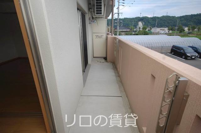 同型タイプ