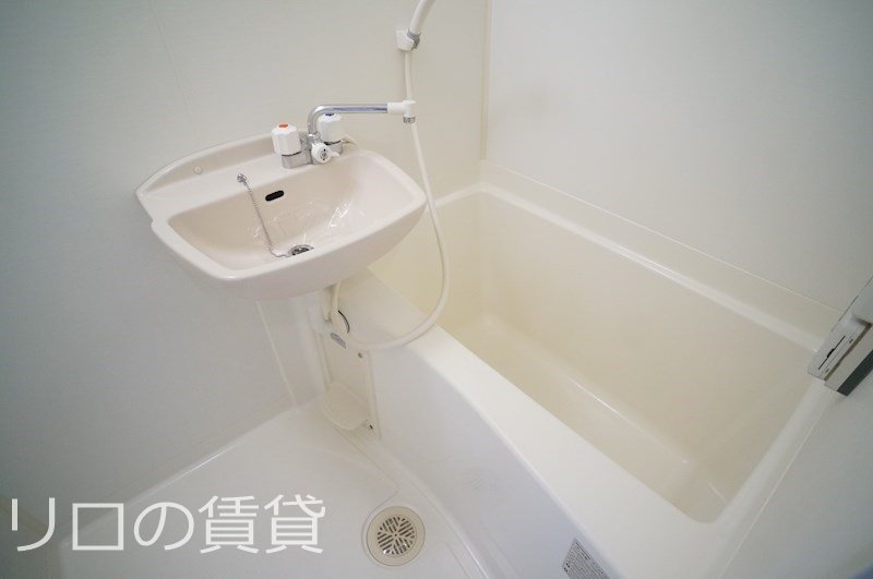 同型タイプ