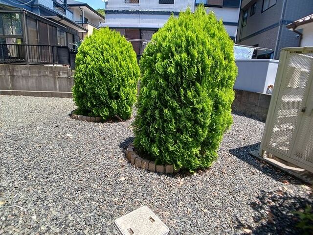 サムネイル