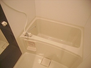 同型タイプ