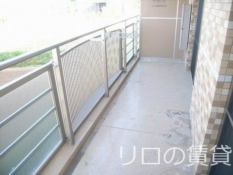 同型