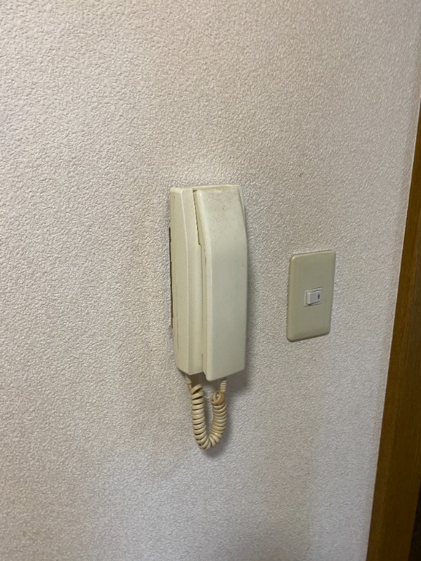 同型タイプ