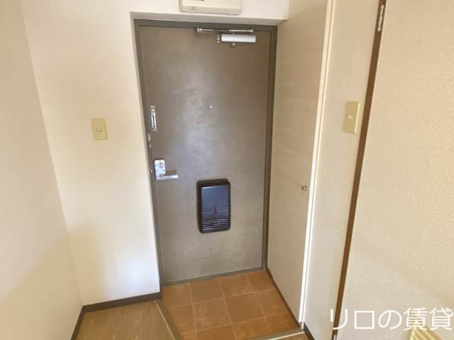 写真は現状を優先します。