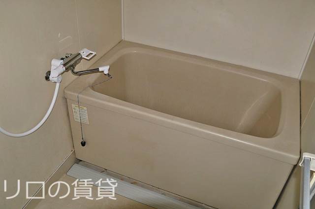 同型