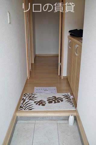 同型