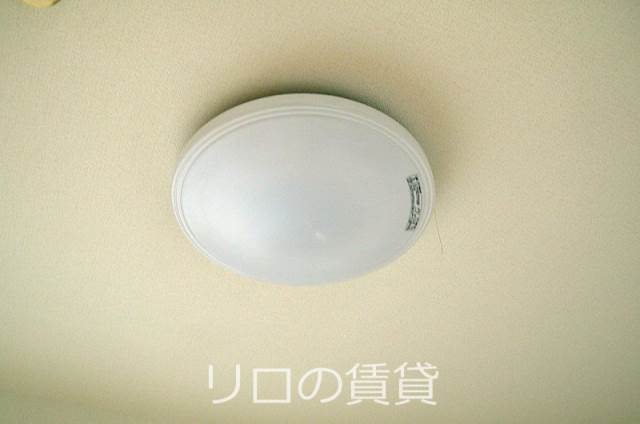 同型