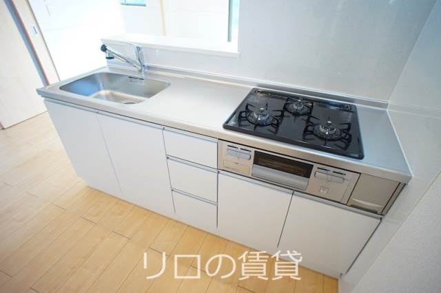 同型