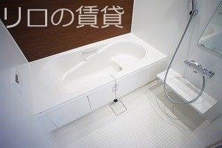 同型