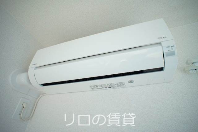 同型