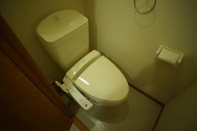 同型