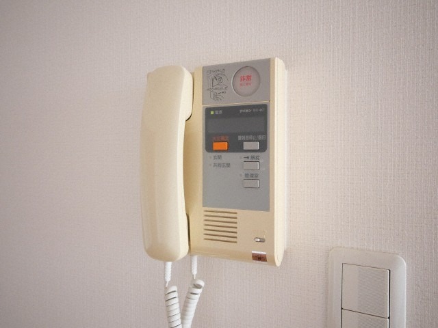 別号数写真