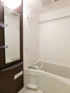 同型